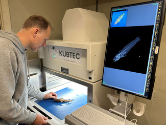 En sortmundet kutling bliver digitaliseret. Arten er invasiv fra det Baltiske Hav. Foto: Peter Rask Møller, Statens Naturhistoriske Museum