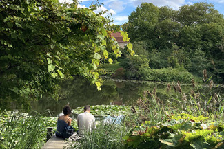 GreenAttraction1