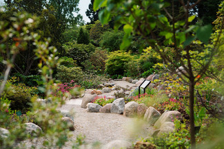 Rododendron-kvarteret