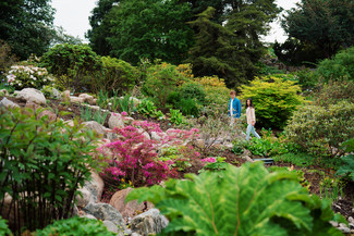 Botanisk Have