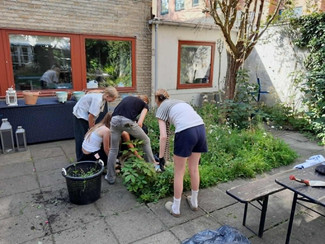 Biodiversitetsområde på Vesterbro Ungdomsgård