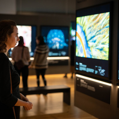 Besøgende til udstillingen 'Wildlife Photographer of the Year', som hvert år præsenterer de 100 bedste natur fotos verden over. Udstillingen kan opleves på Danmarks Naturhistoriske Museum.