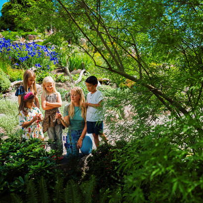 Gæster på Stenhøjen i Botanisk Have