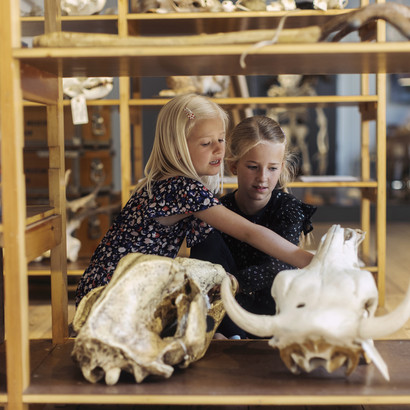 Børn i Naturhistorisk Værksted