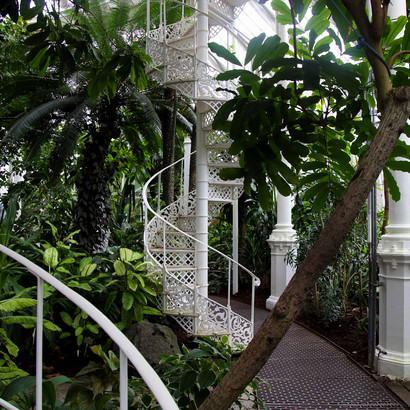Palmehuset i Botanisk Have