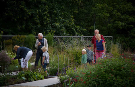 Familier på opdagelse i Botanisk Have