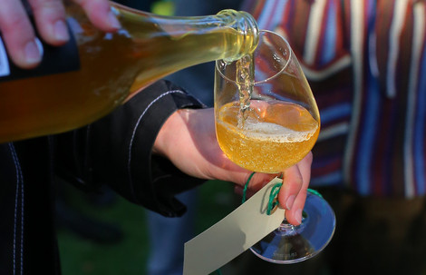 Øl hældes op i glas i Botanisk Have