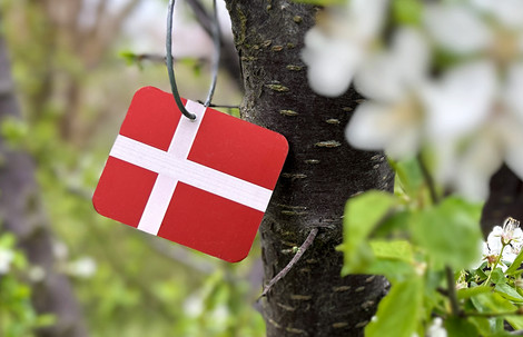 Fødselsdagsflag i Botanisk Have