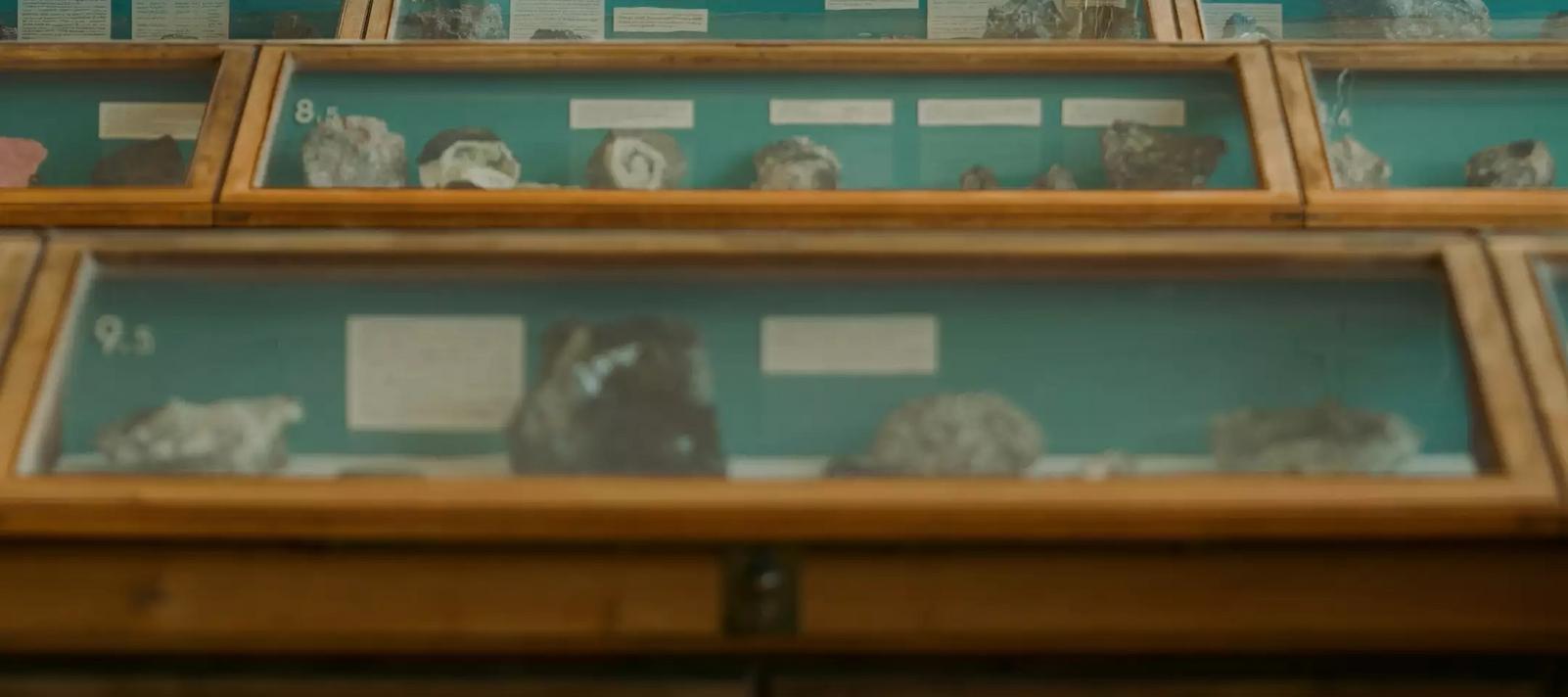 Besøgende udforsker Mineralsalen
