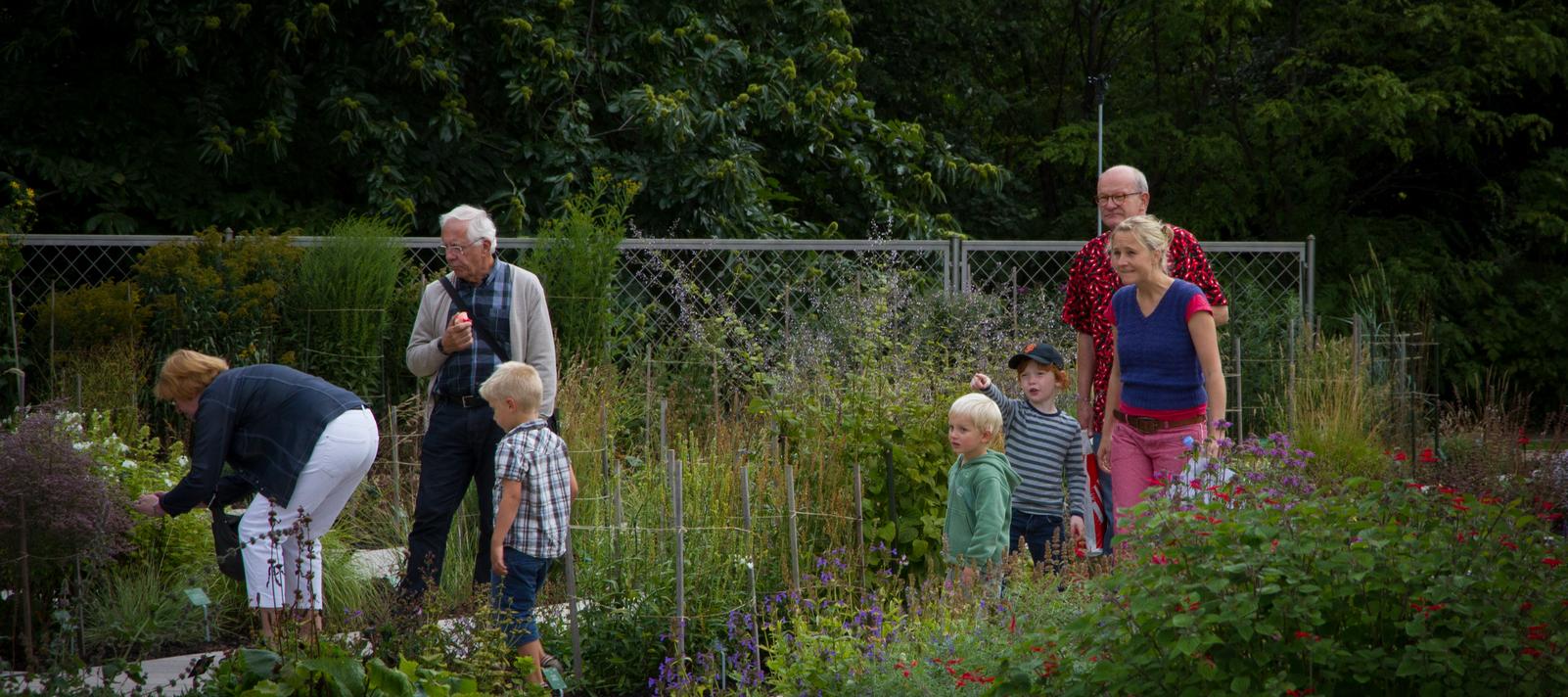 Familier på opdagelse i Botanisk Have