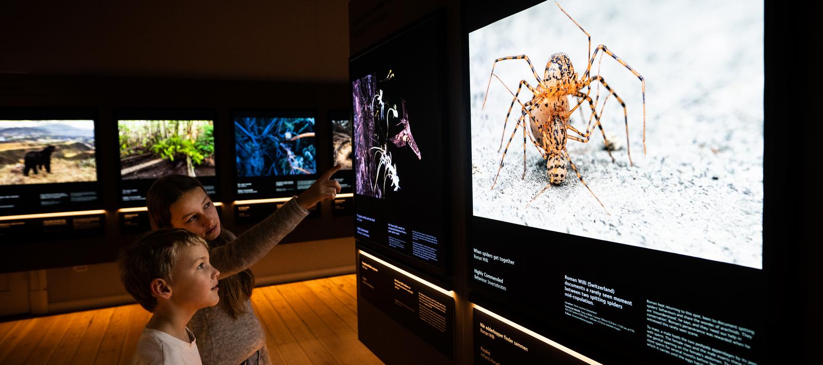 Børn i udstillingen Wildlife Photographer of the Year