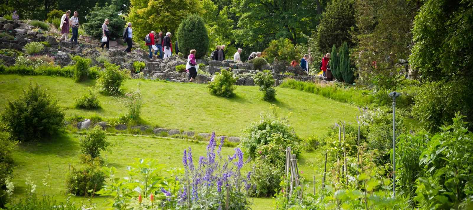 Gæster på Steenhøjen i Botanisk Have