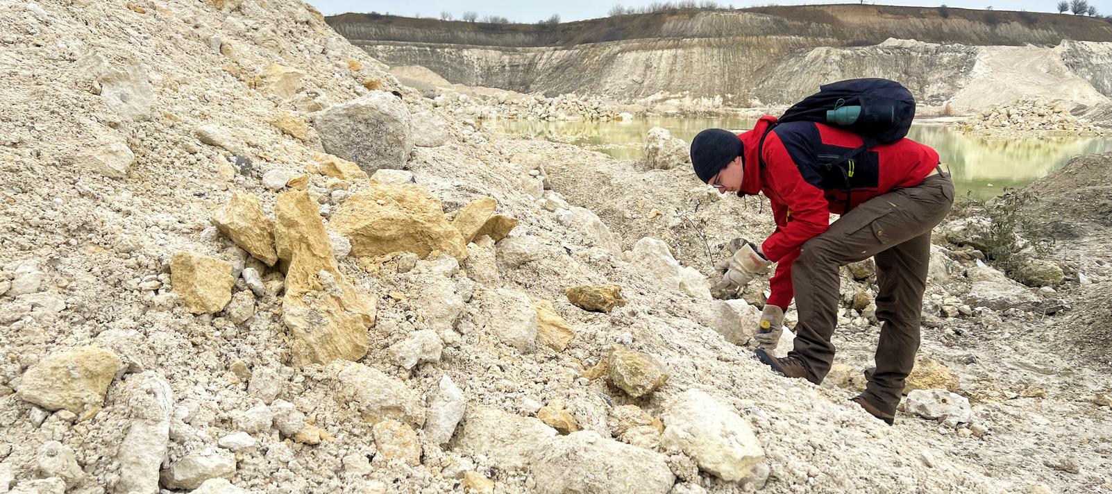 Danmark Udforsker Fossiler