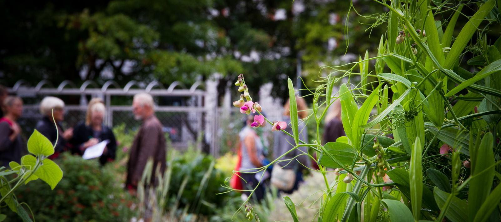 Botanisk Haves Dag