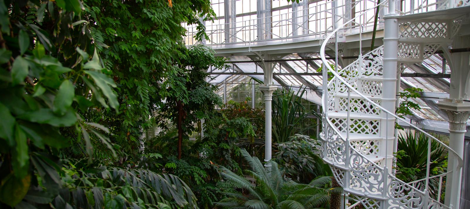 Botanisk Have