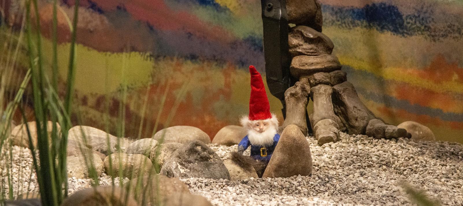 Nisse i udstilling