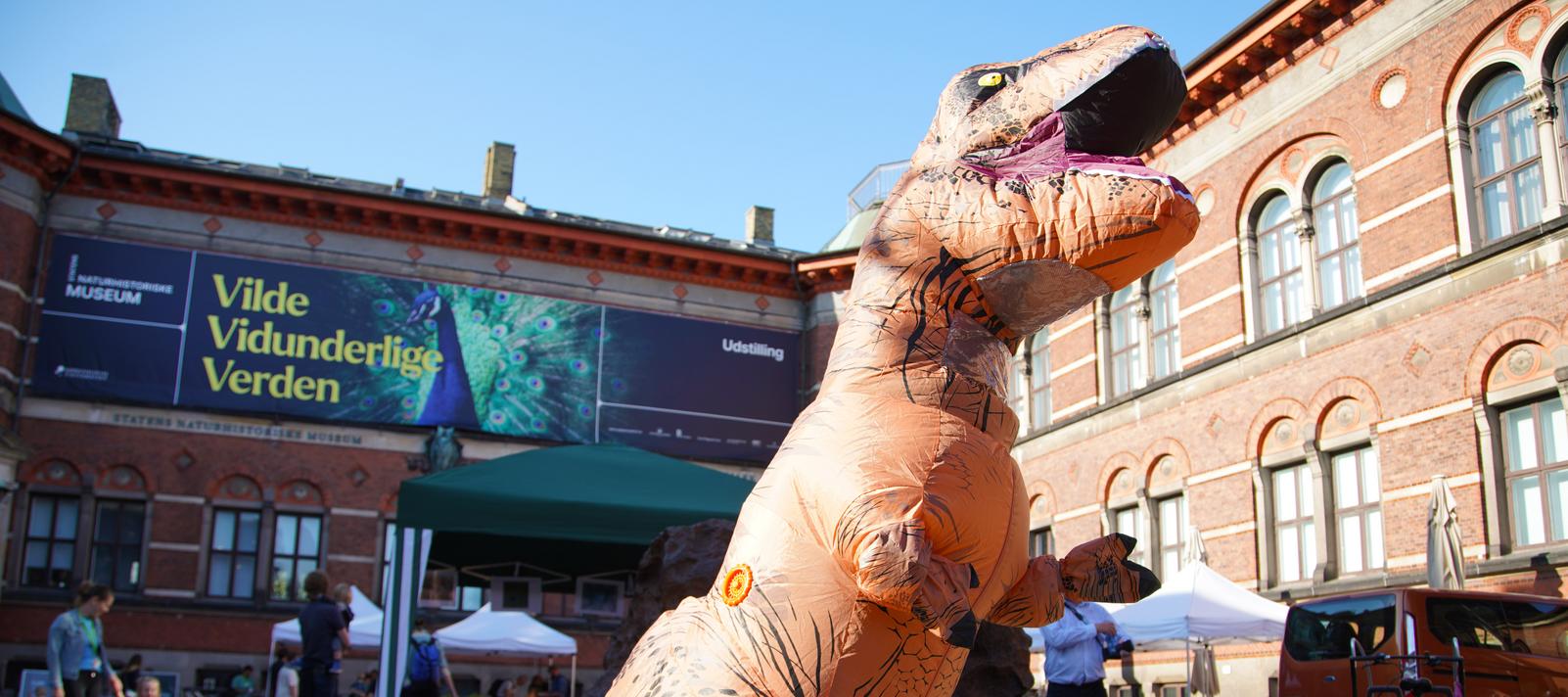 FossilFestival
