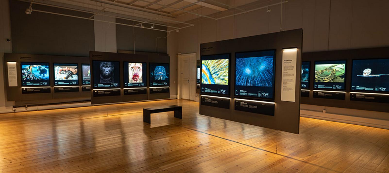 Private View Statens Naturhistoriske Museum