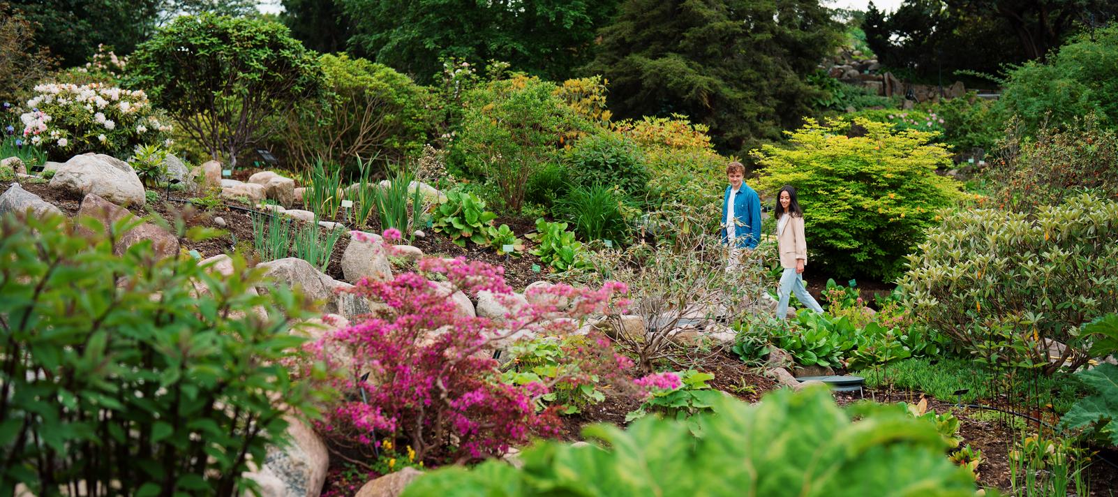 Gæster i Rododendron-kvarteret. Foto: Barsk Projects