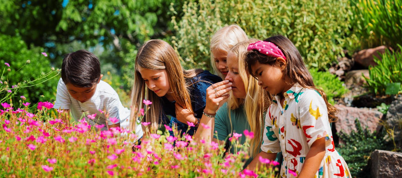 Børn med formidler i Botanisk Have