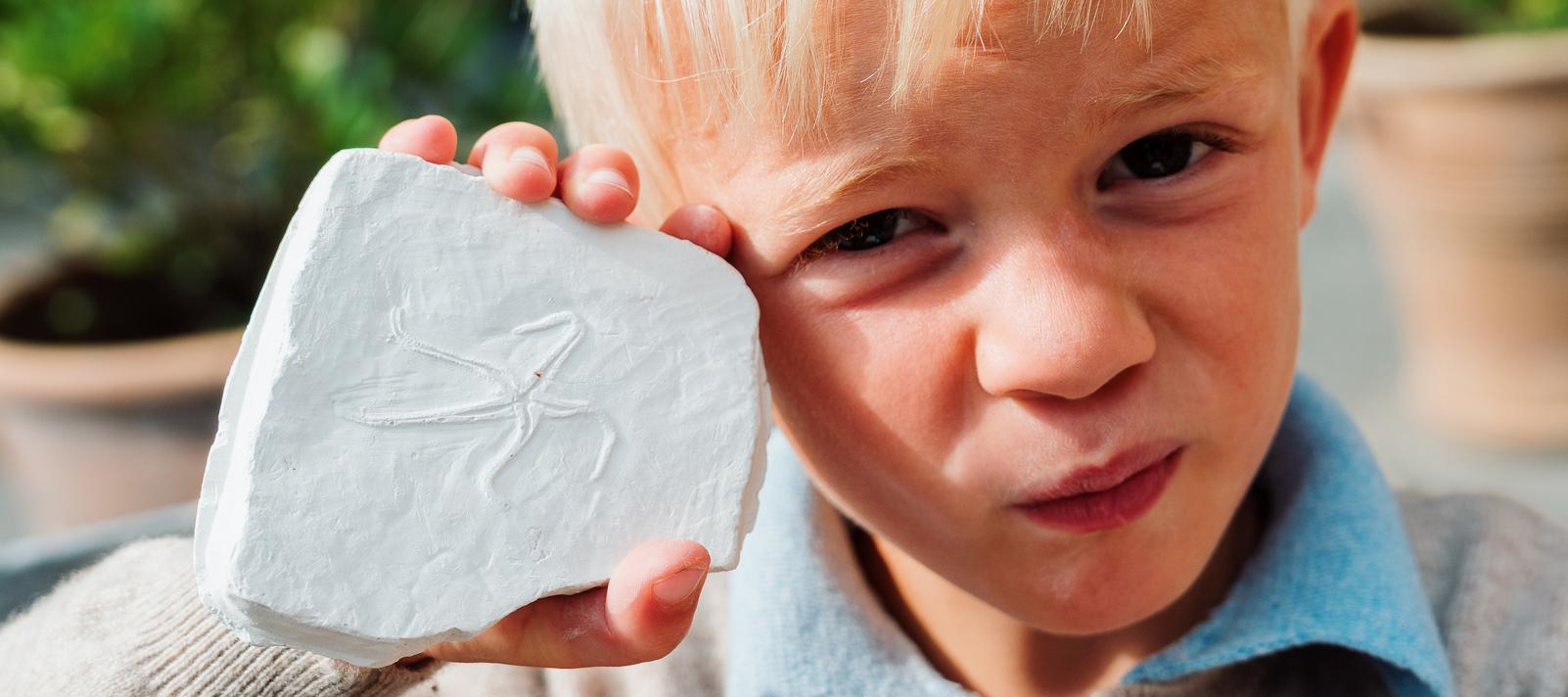 FossilFestival