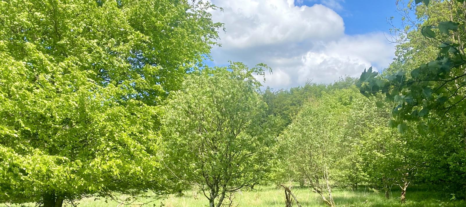 Fussingø Nationalpark
