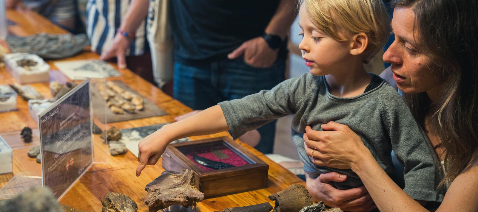 FossilFestival 2025