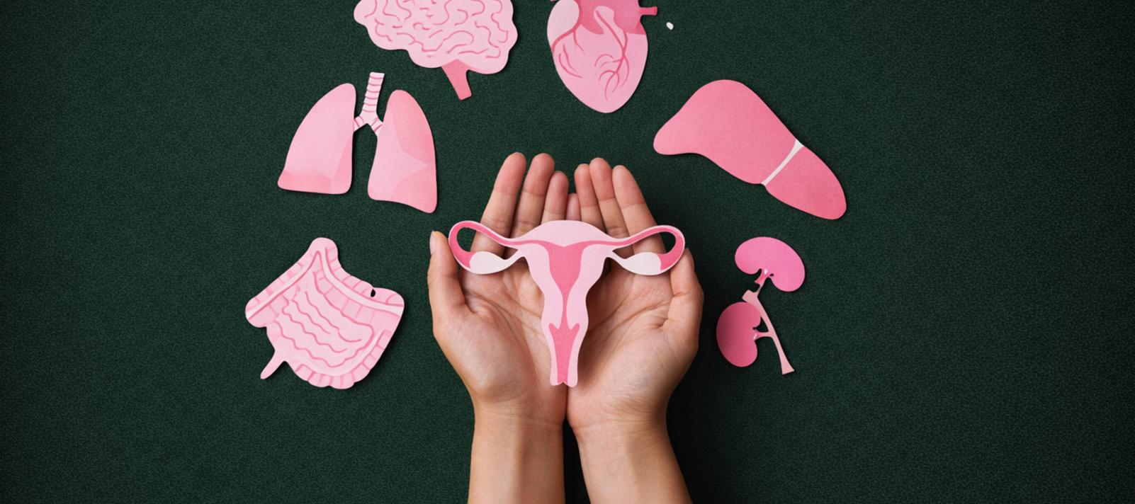 Illustration af overgangsalderen